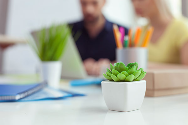 Services - Indoor Environmental Quality