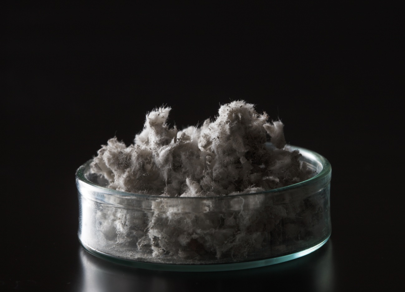 Asbestos Sample